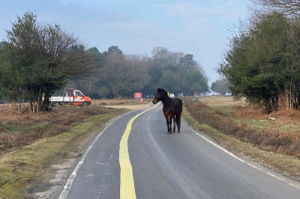 T-Matting - Fibre to the home narrow trench cover